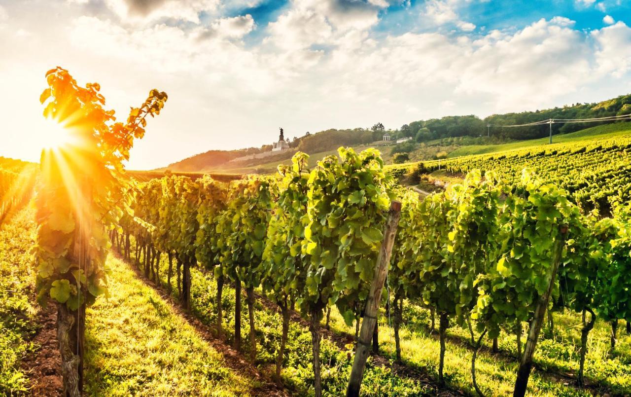 Fewo Zum Malerwinkel - Ruedesheim Rüdesheim am Rhein Exteriör bild